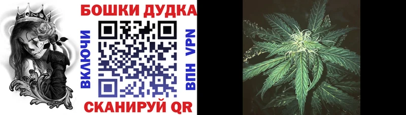 Бошки Шишки LSD WEED Касли